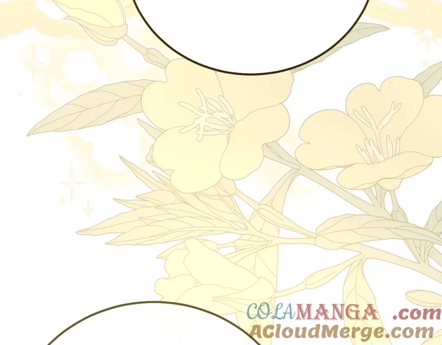 第233页