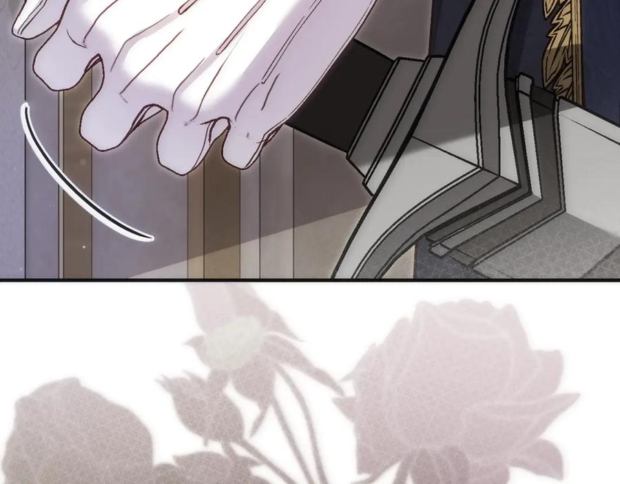第243页