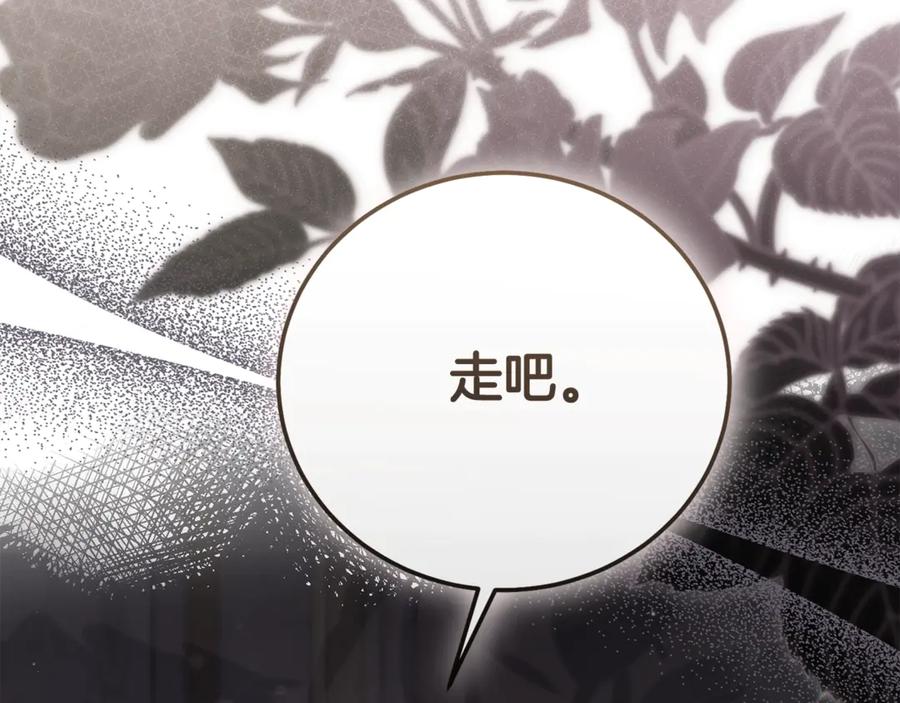 第244页