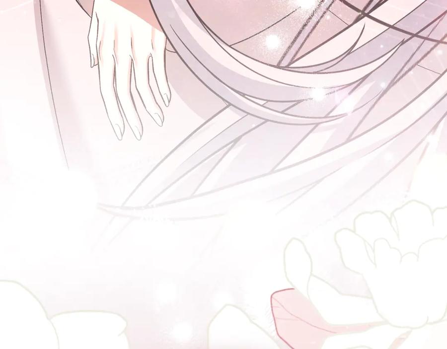 第279页