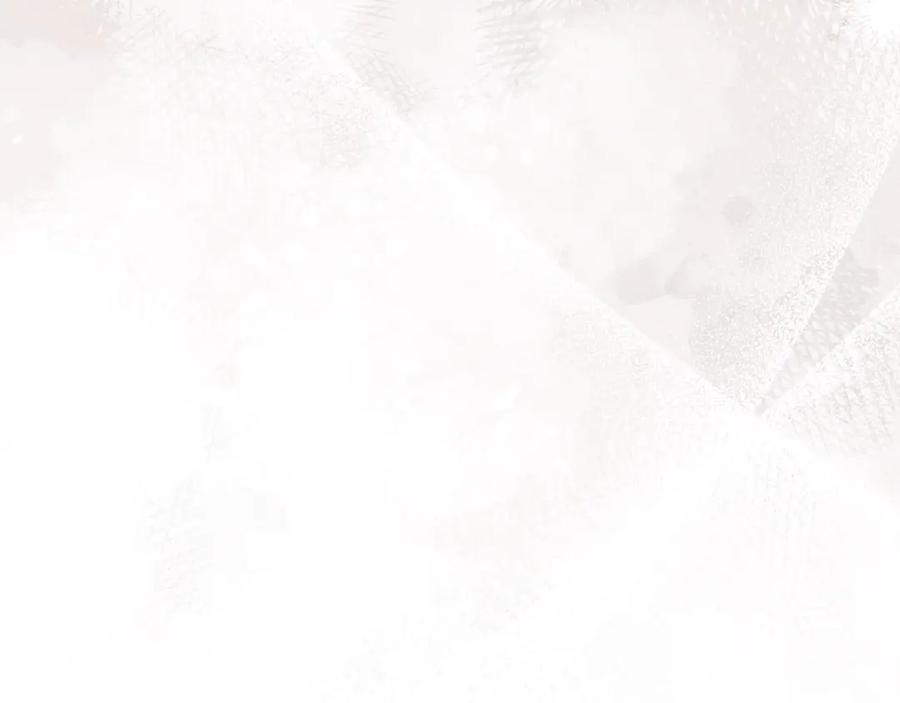 第282页