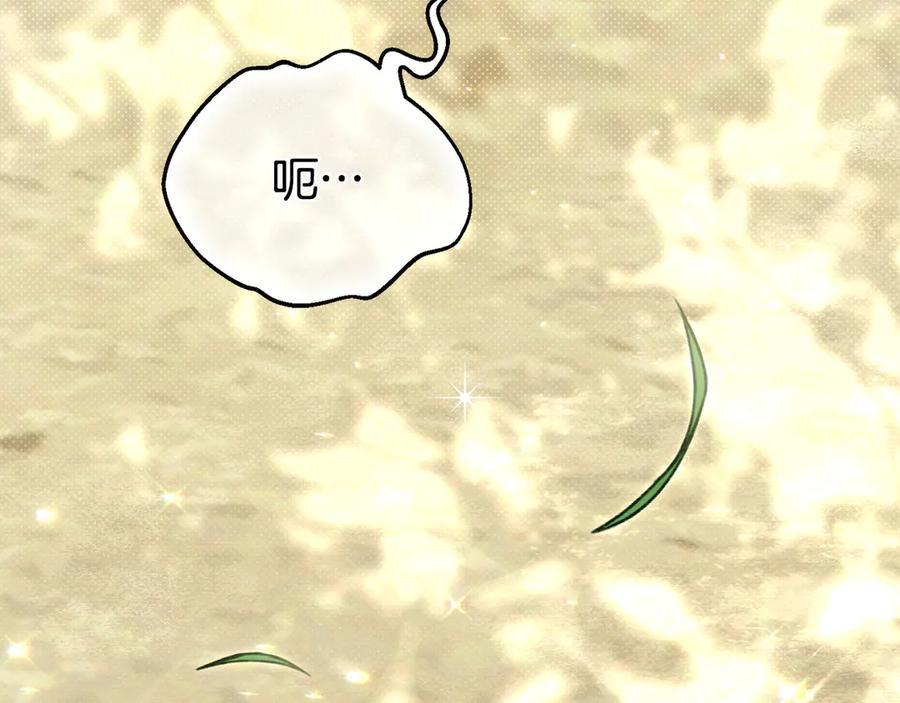 第215页