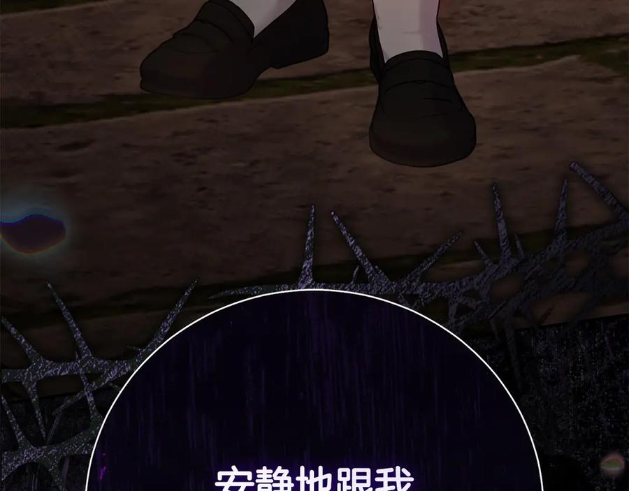 第231页