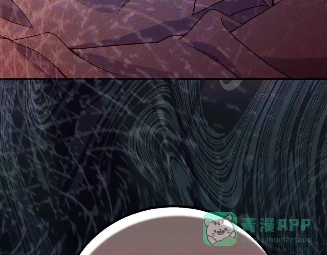 第206页