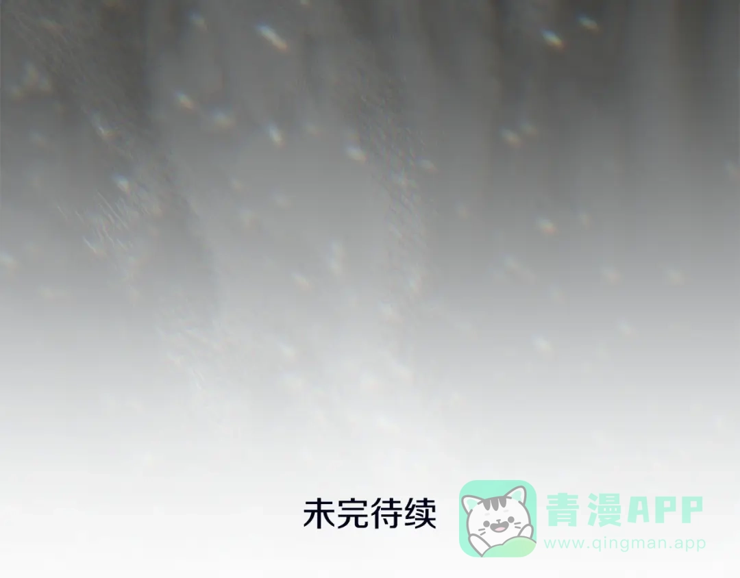 第221页