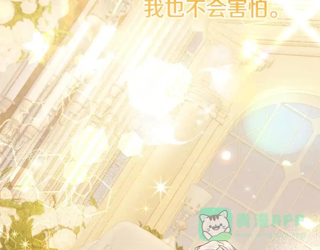 第221页