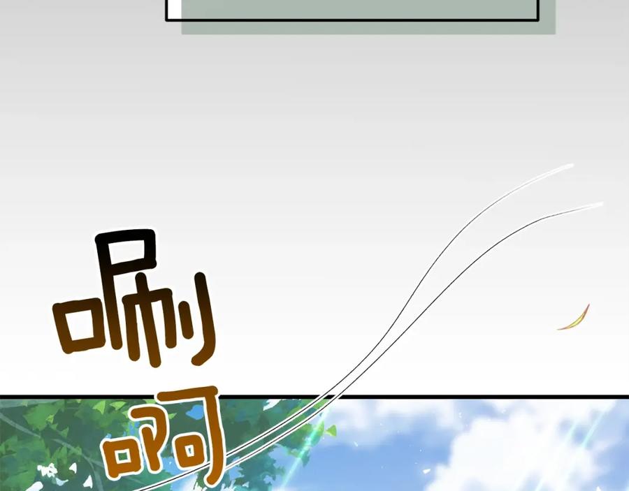 第215页