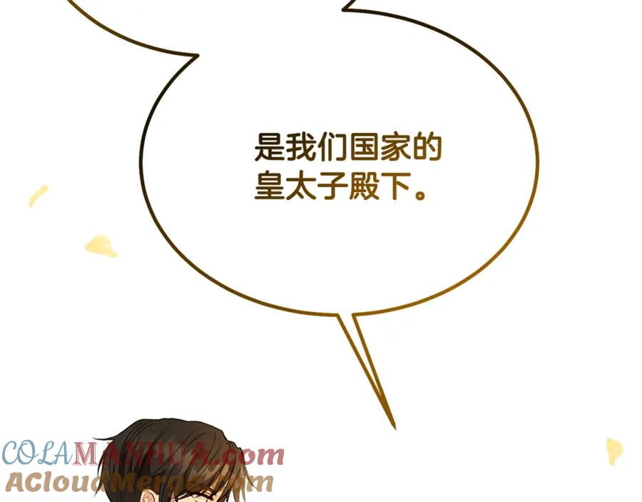 第241页