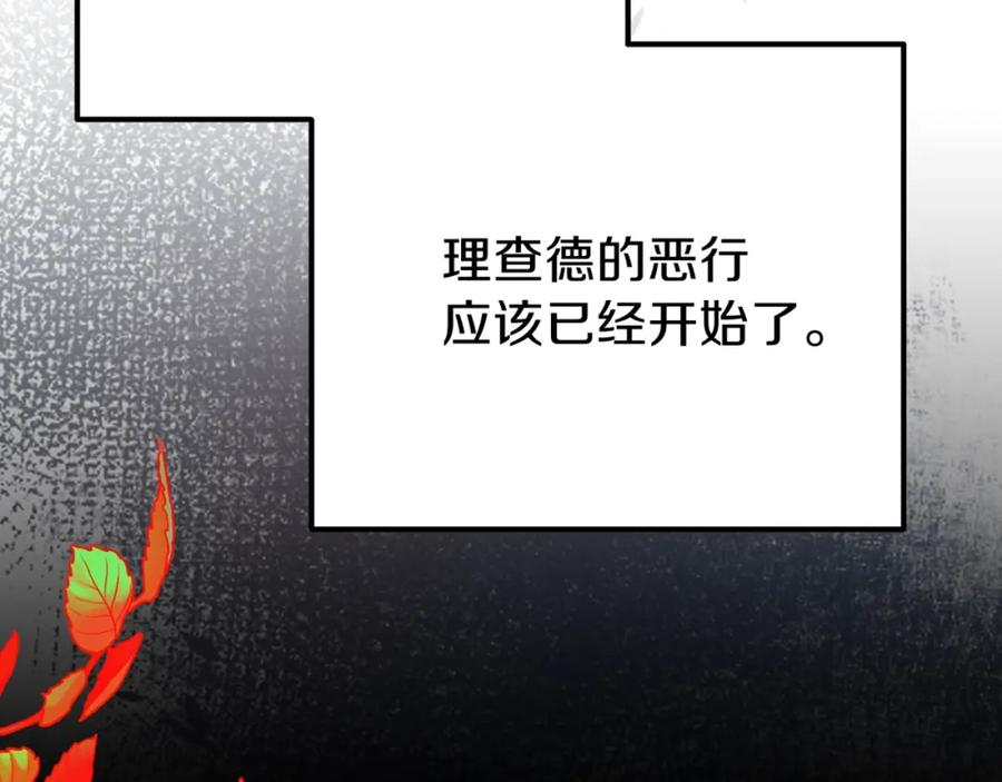 第244页