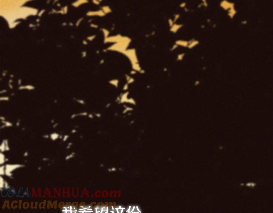 第205页