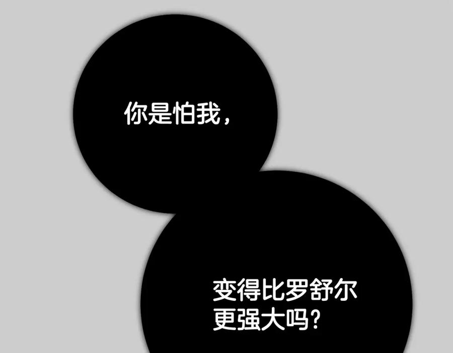 第223页