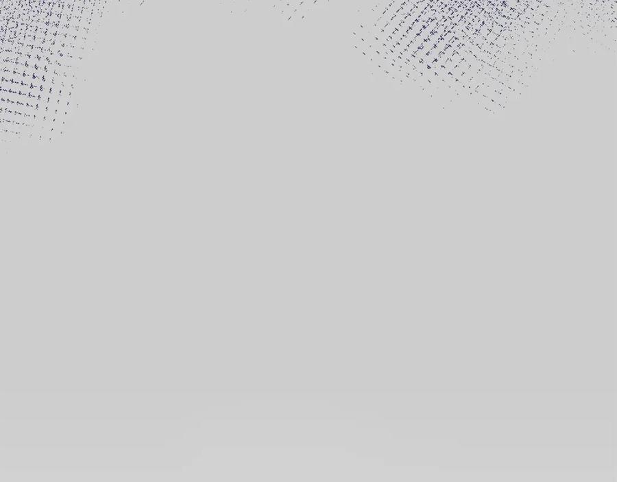 第204页