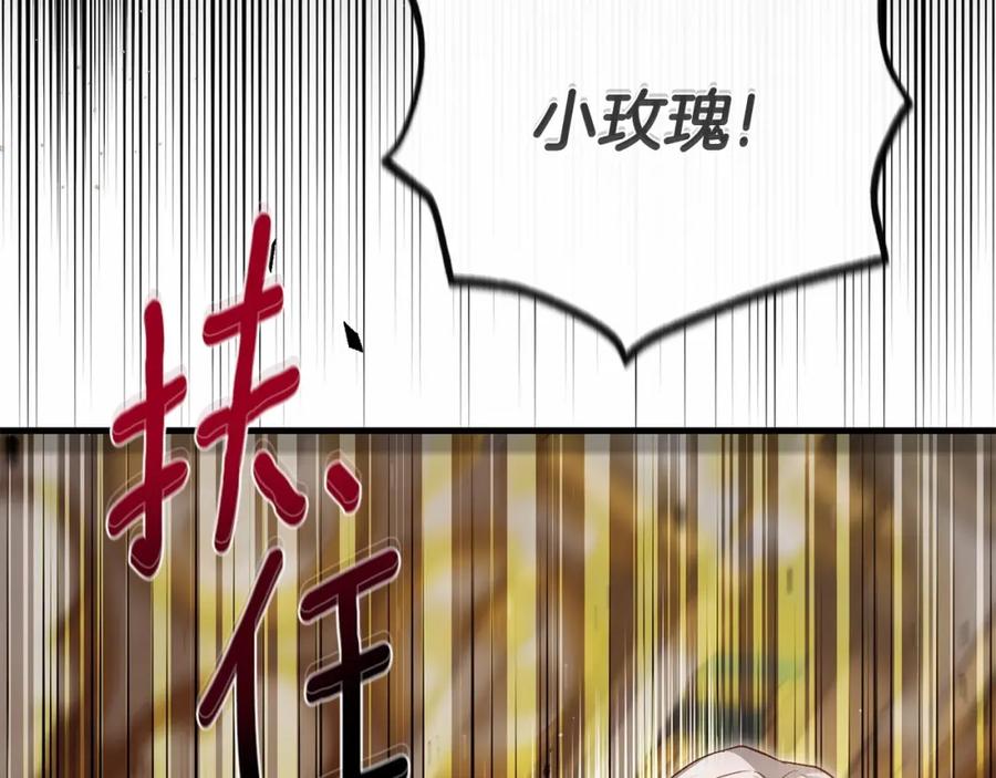 第223页