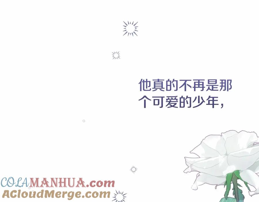 第217页