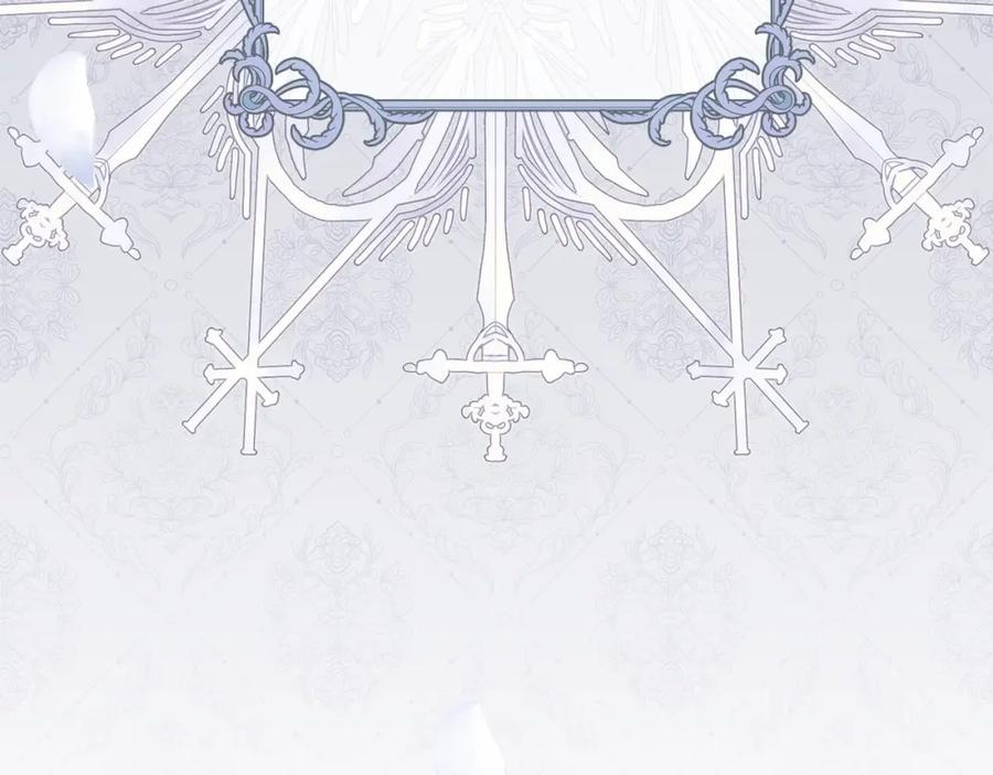第243页