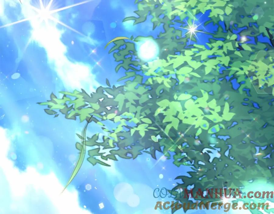 第213页