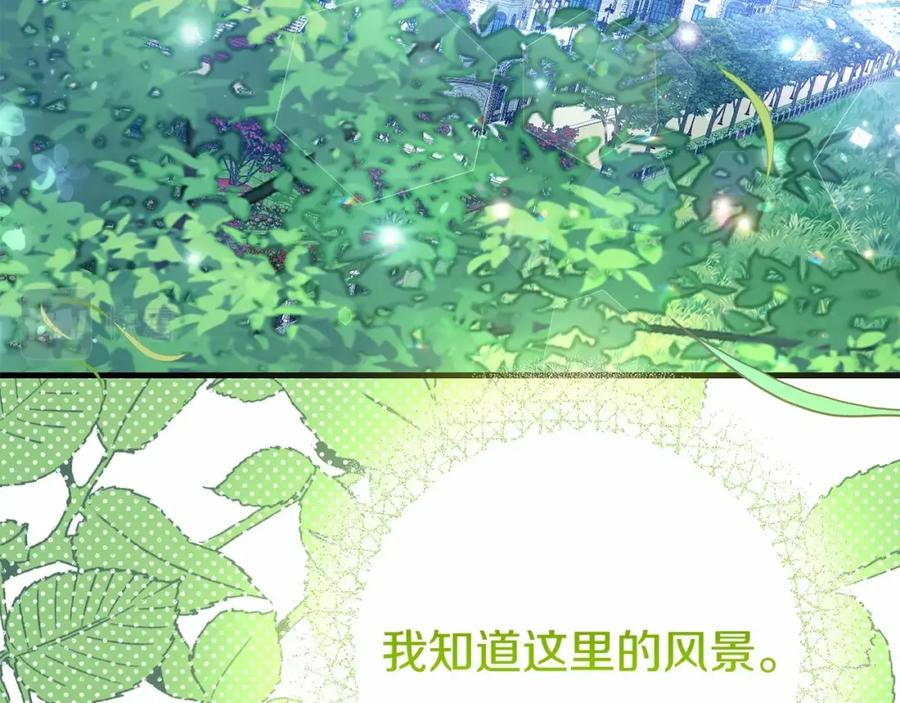 第215页