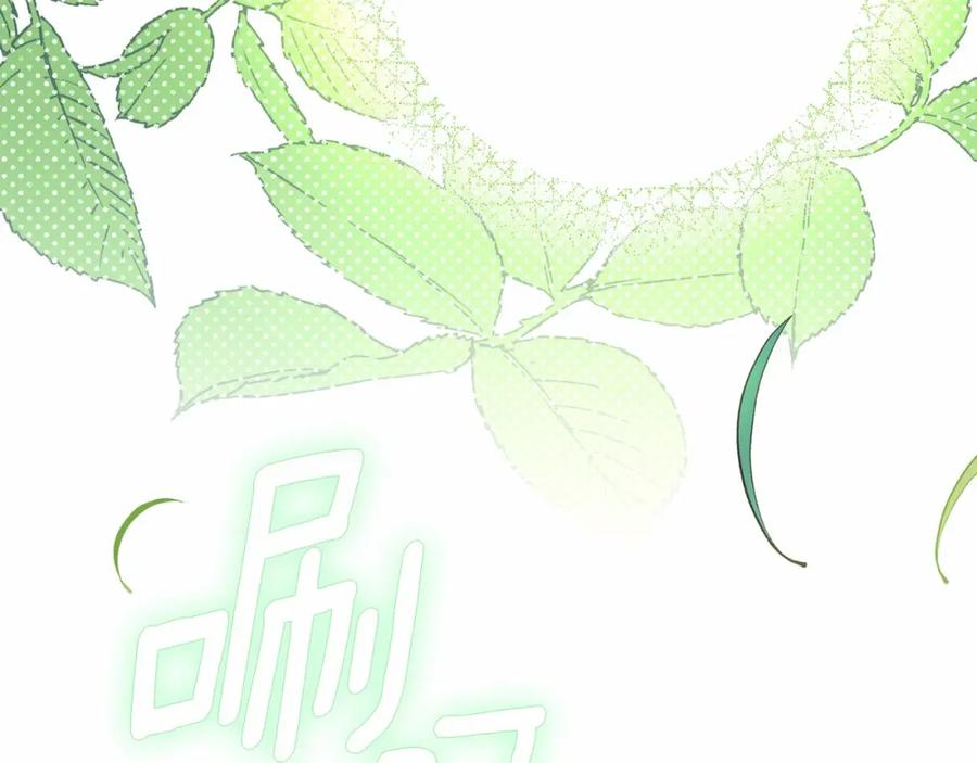 第216页