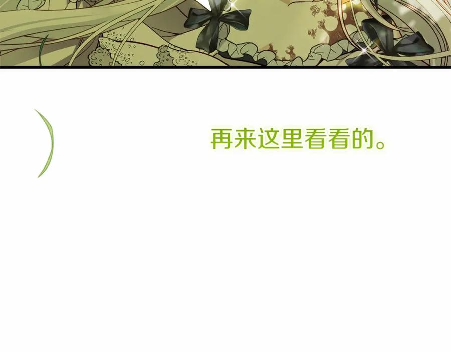 第223页