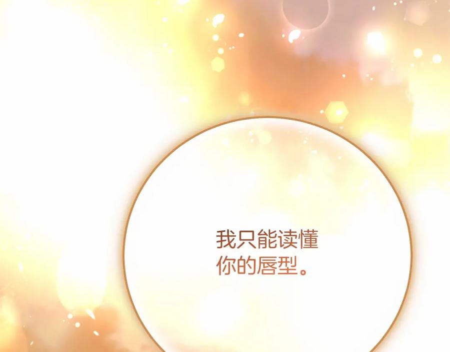 第232页