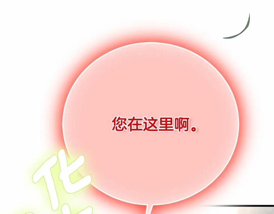 第262页