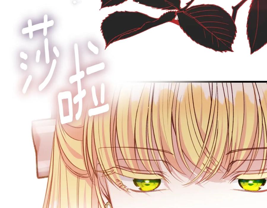 第215页