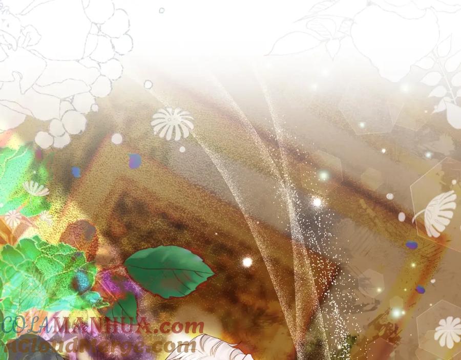 第229页