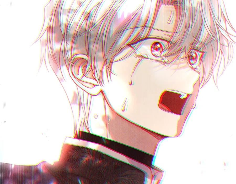 第215页