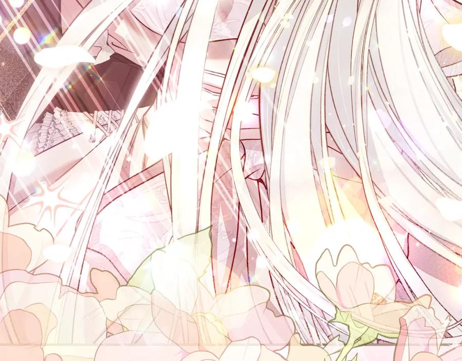 第251页