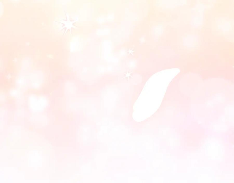 第256页