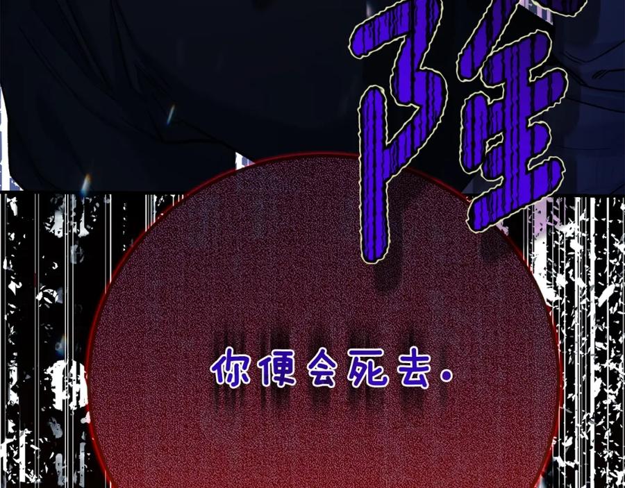第244页