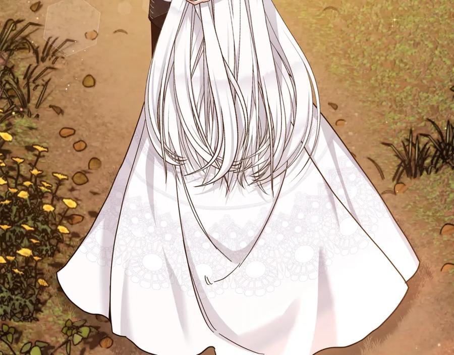 第244页