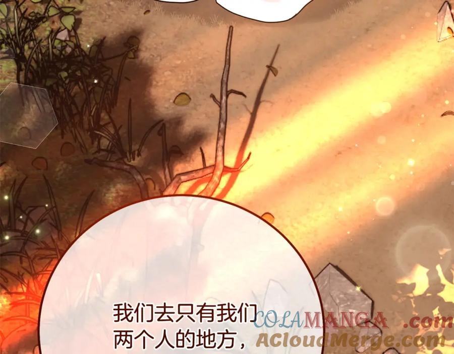 第245页