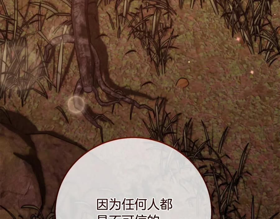 第247页