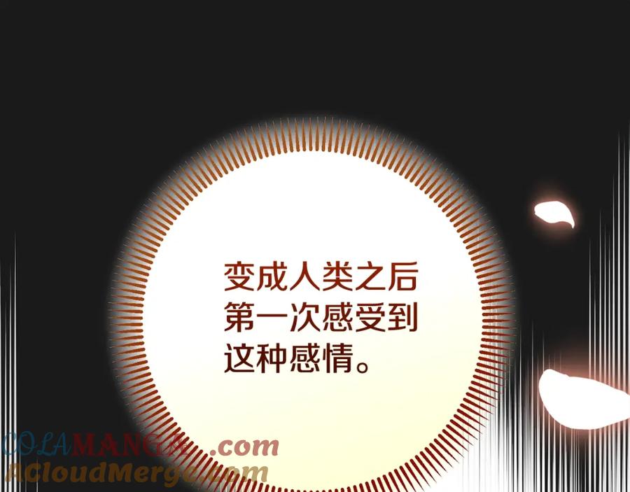第257页