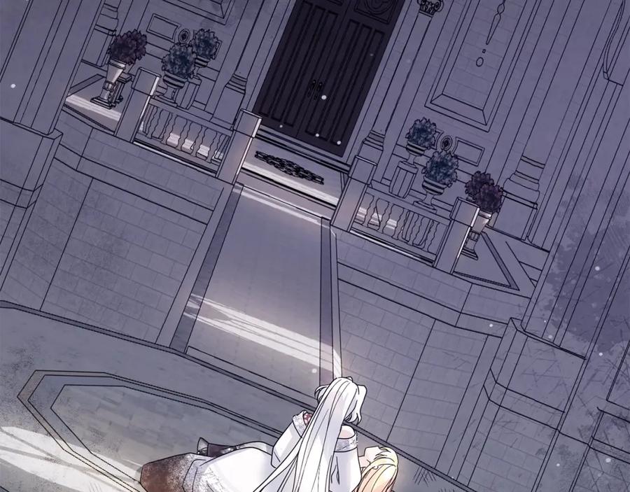 第239页