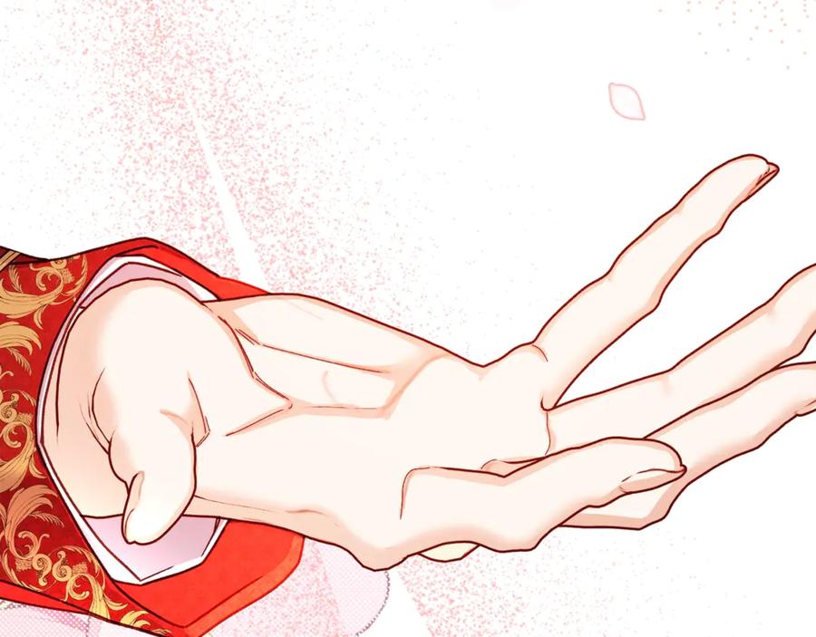 第215页