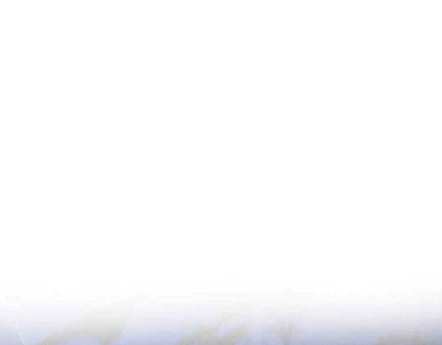 第224页