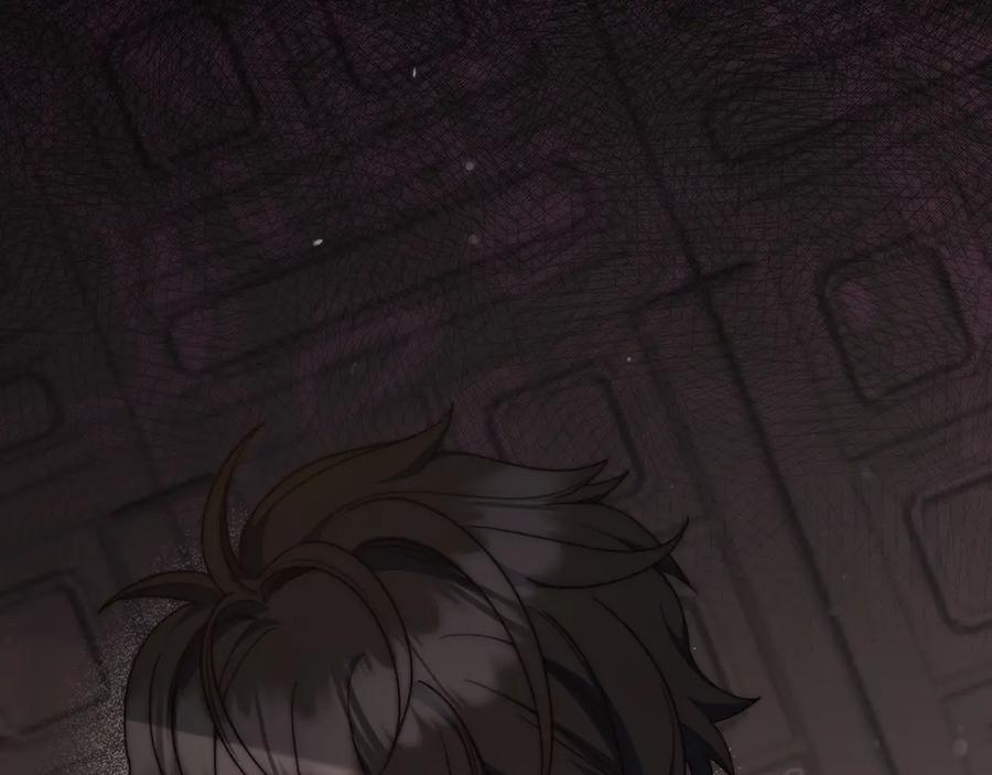 第206页