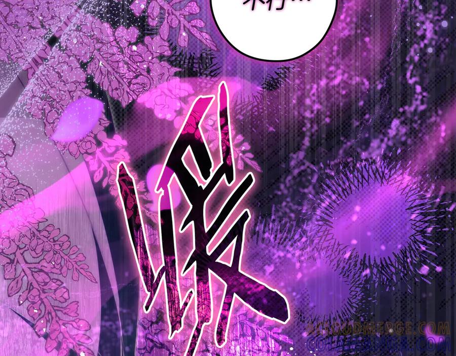 第217页