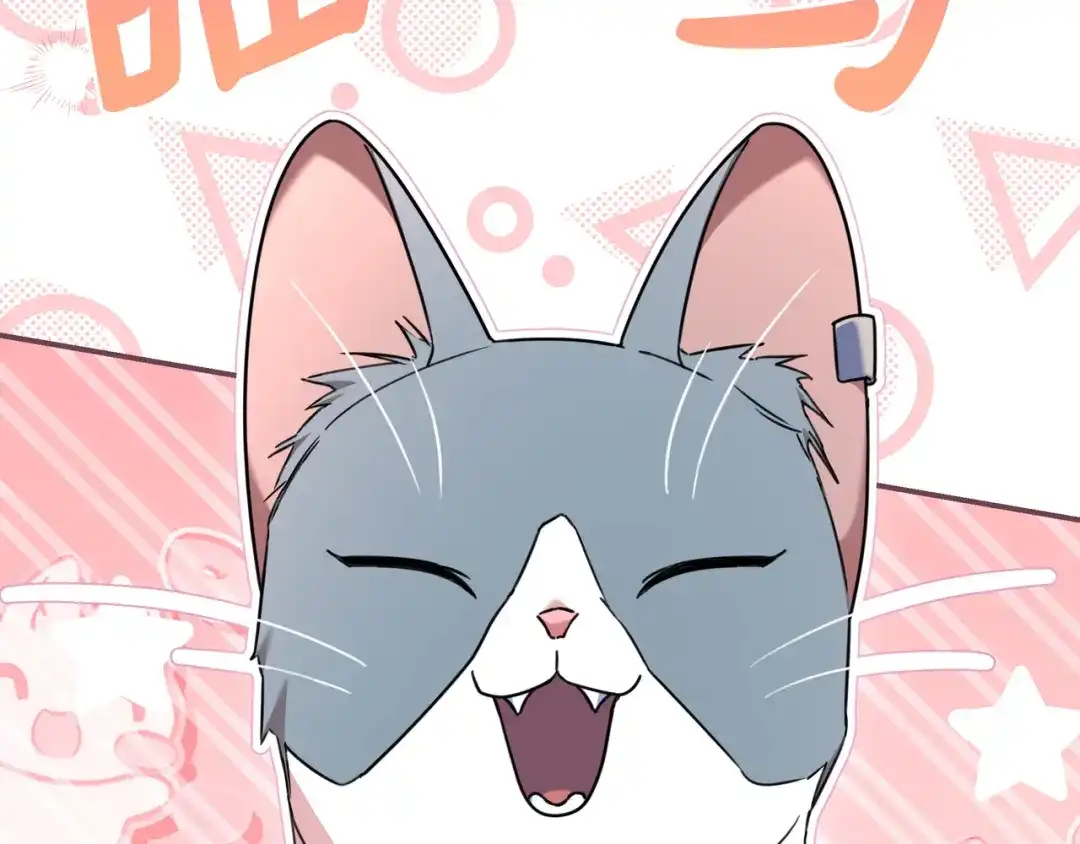第206页