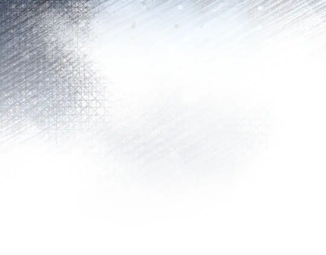 第224页