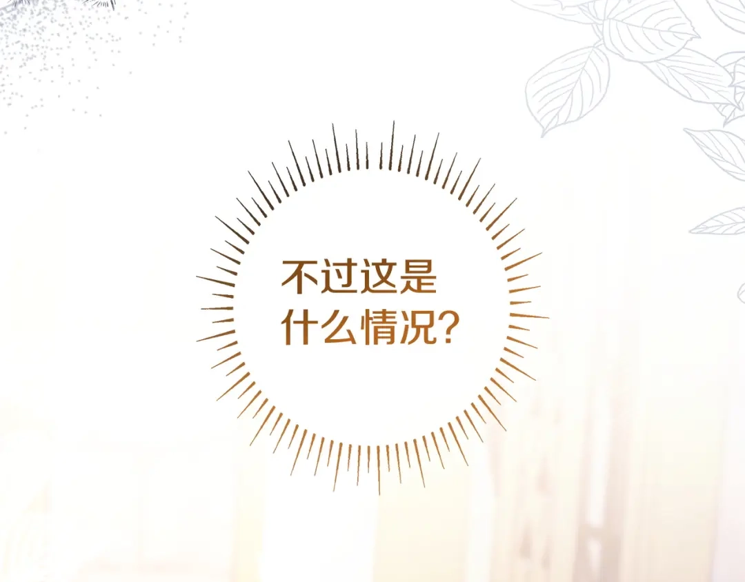 第215页