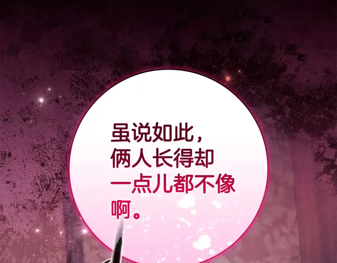 第219页