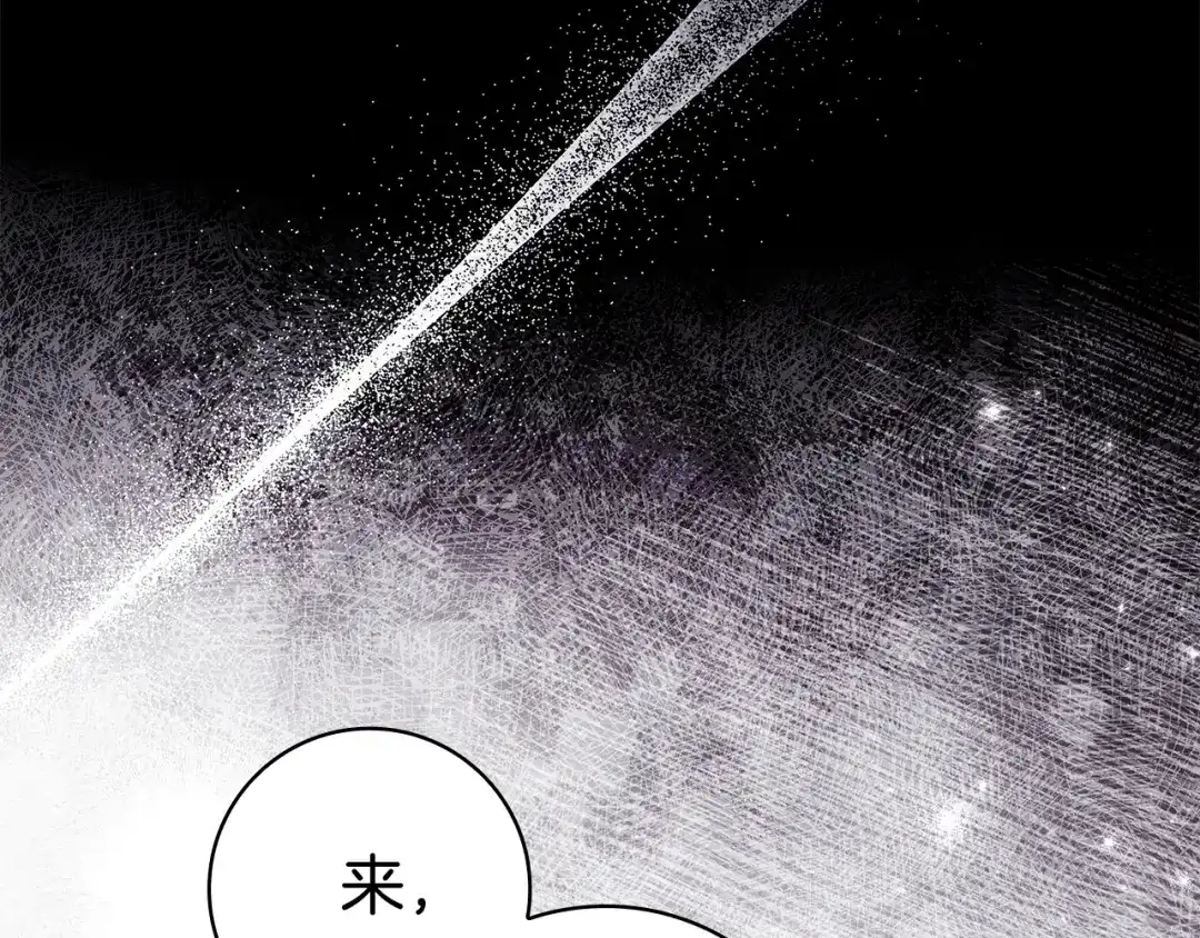 第223页