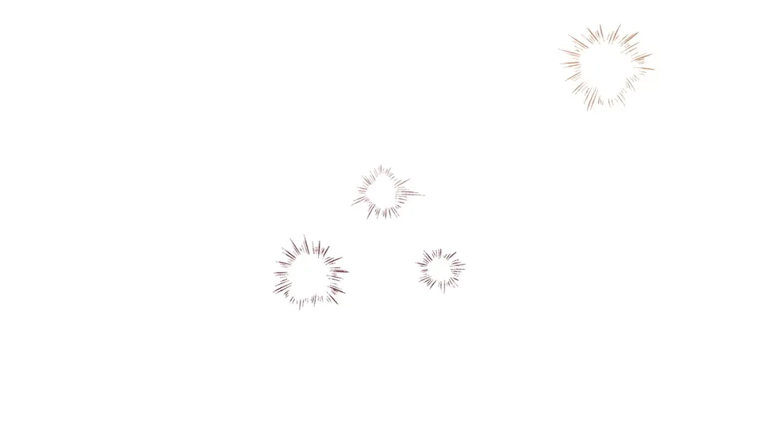 第202页