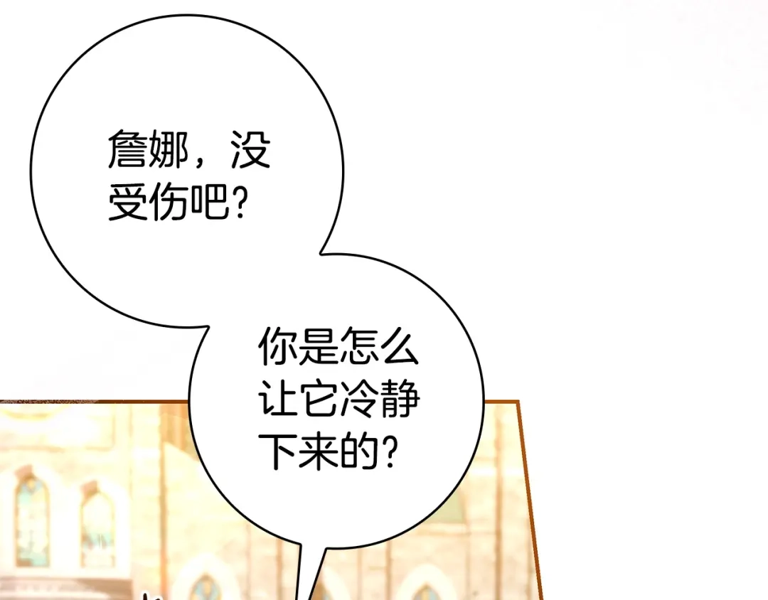 第204页