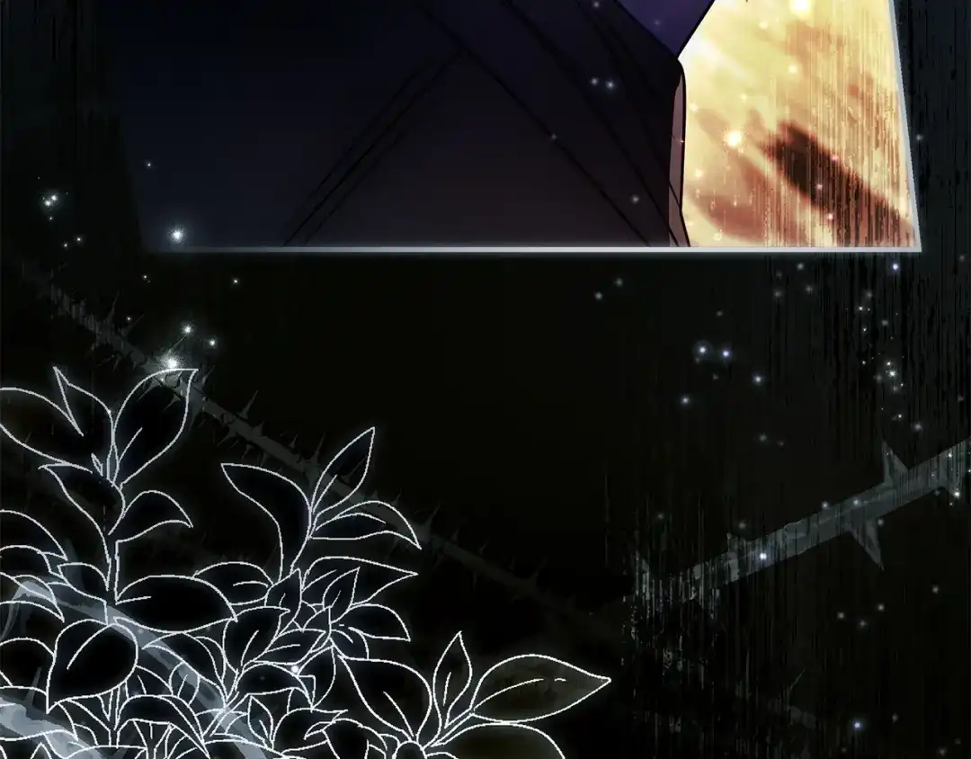第217页