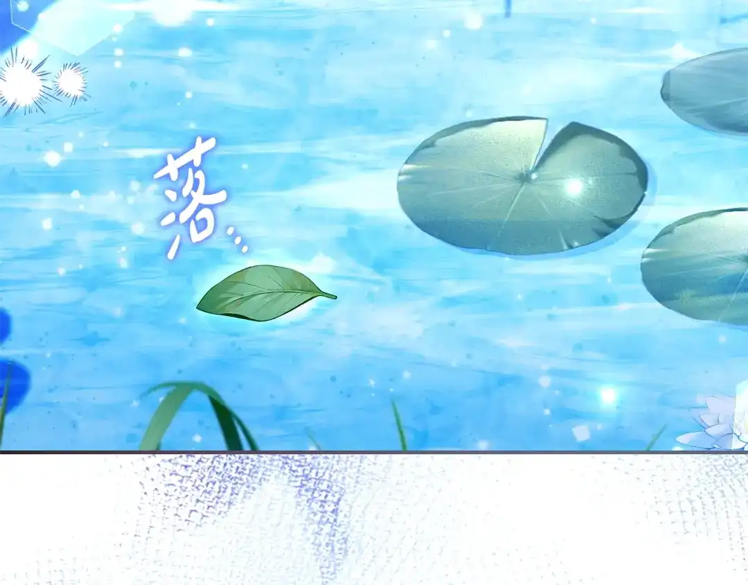 第447页
