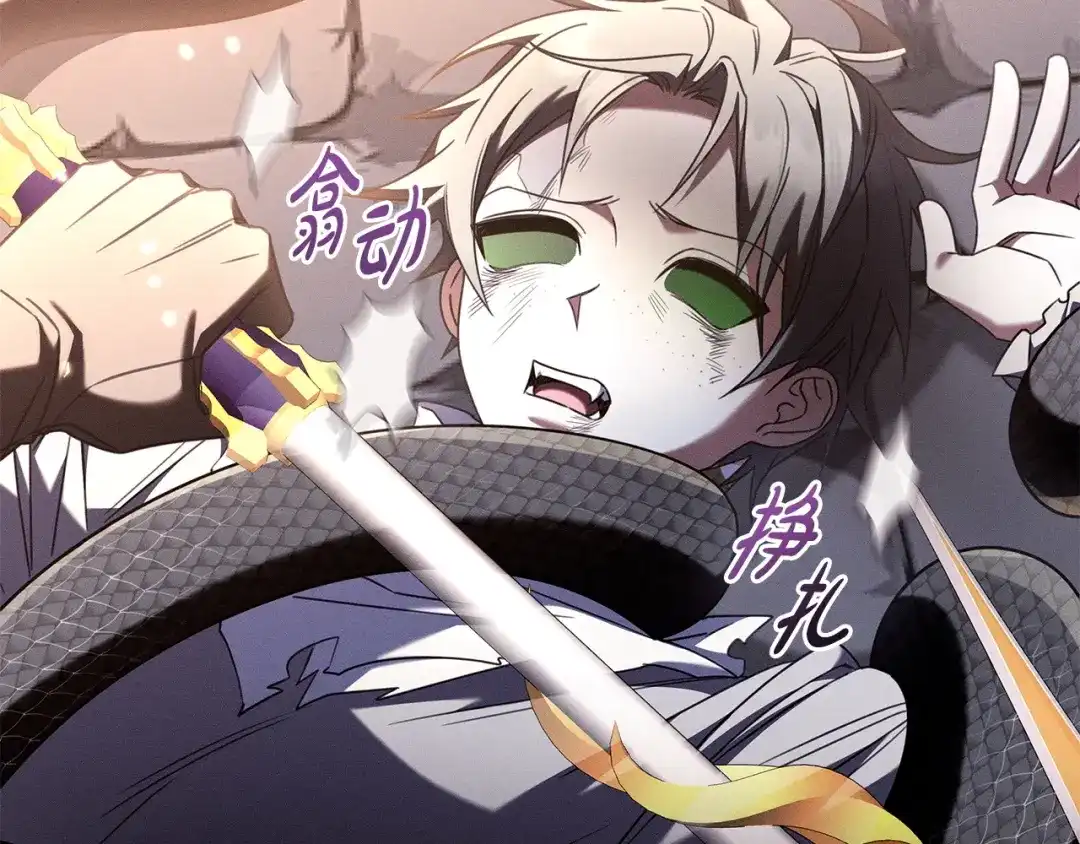 第244页